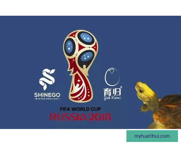世界杯竞猜热门平台全攻略与技巧详解助你轻松赢取奖金 世界杯竞猜热门平台全攻略与技巧详解助你轻松赢取奖金